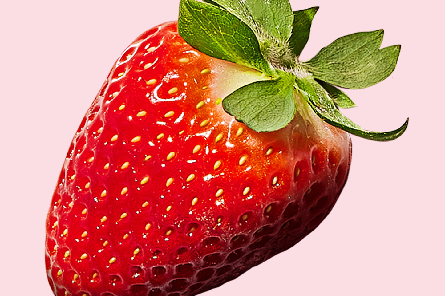 strawberry protein smoothie 10-pack