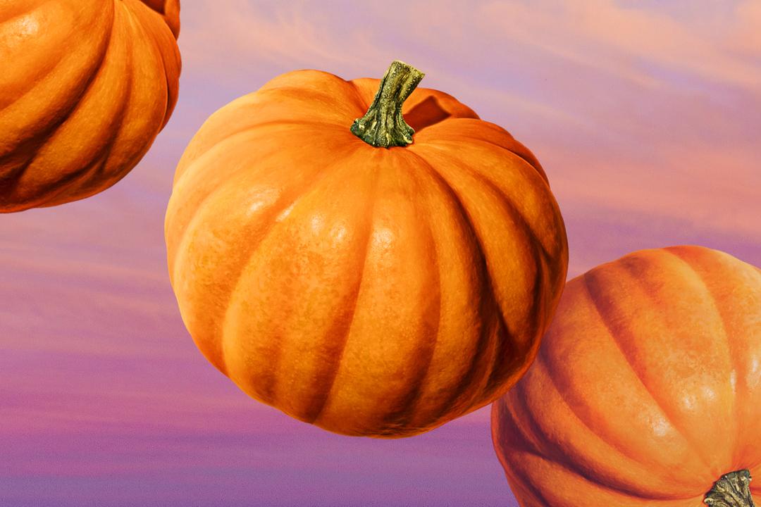 Pumpkin spice 'n' all things nice